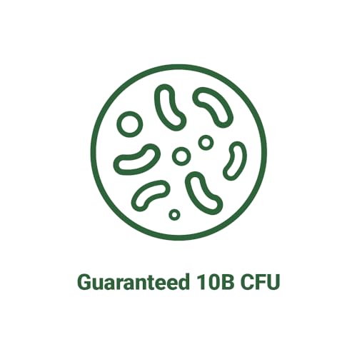 AceBiome BNRThin S30, Lactobacillus Gasseri BNR17, 10 Billion CFU Guaranteed