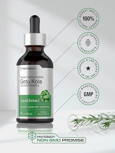 Gotu Kola Extract | 2 fl oz | Alcohol Free | Super Concentrated Liquid Herb Supplement Horbäach