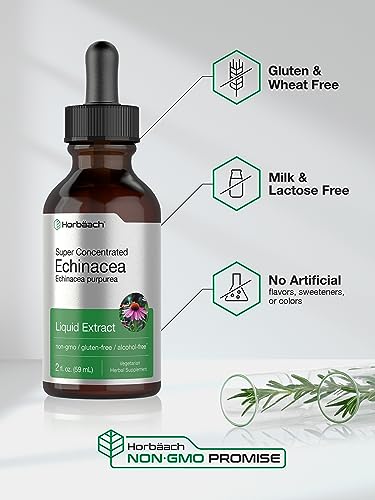 Echinacea Drops Liquid Extract | 2 fl oz | Super Concentrated Tincture | Alcohol Free Horbäach