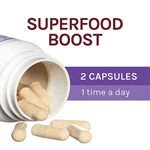 Host Defense, Lion's Mane Capsules, Promotes Mental Clarity, Focus and Memory