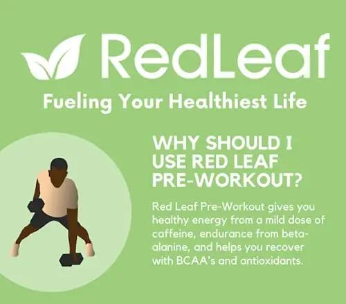 Red Leaf Pre Workout Energizer Powder, BCAA's, Beta-Alanine, Amino Acids and Green Tea Red Leaf