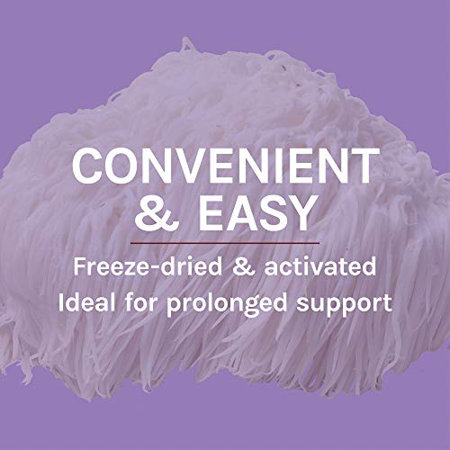 Host Defense, Lion's Mane Capsules, Promotes Mental Clarity, Focus and Memory