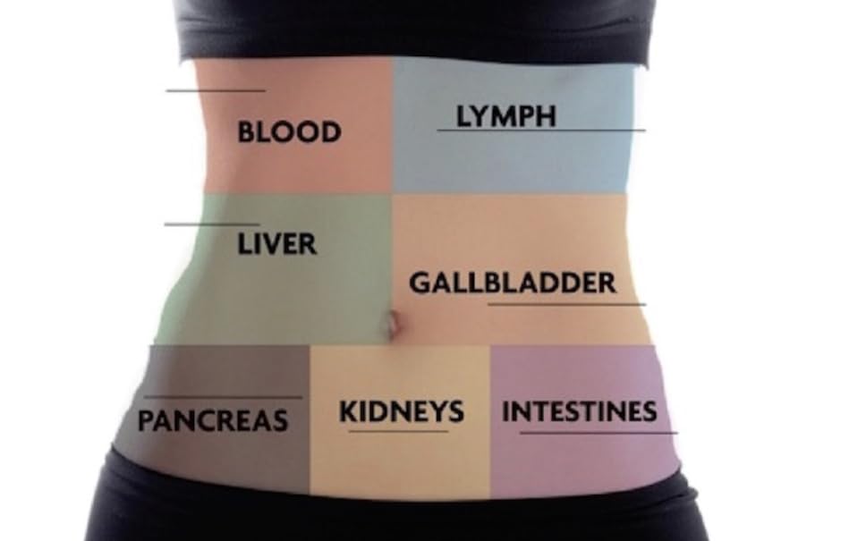 Shootclhear - Detoxify xxtraclean Detox Drink -20 0z- Herbal Precleanse Pills, 6 Panel Test Shootclhear