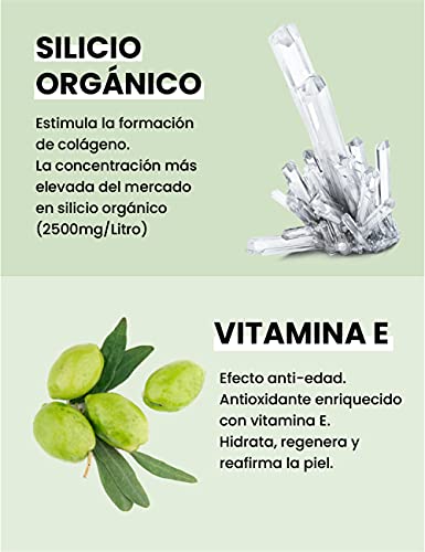 SILICIUM G5 Gel | Transdermal Silica Supplement for Skin Application and Dermal Absorption SILICIUM G5