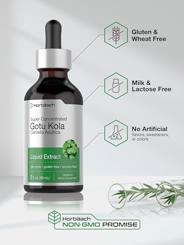 Gotu Kola Extract | 2 fl oz | Alcohol Free | Super Concentrated Liquid Herb Supplement Horbäach