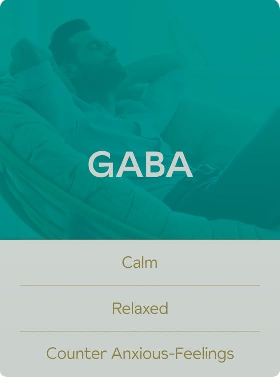 AshwaMag by GreenWave Nutrition | 5 Clinically Studied Ingredients | Happier & Motivated AshwaMag