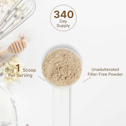 Organic Mushroom Powder Supplement, 12oz – 10 in 1 Active Blend – Turkey Tail, Lions Mane DEAL SUPPLEMENT