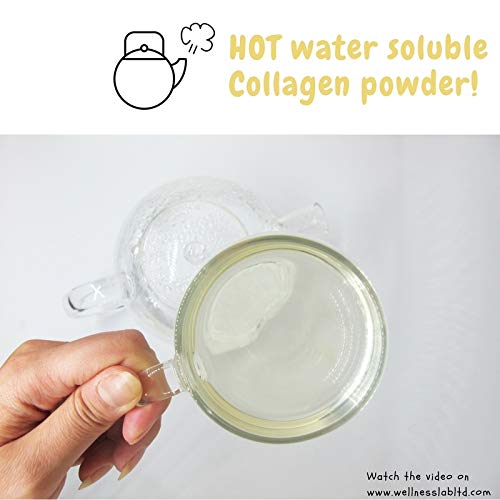 Cleanest Marine Collagen Peptides | Wellness Lab 454g | Type I,III | Highest Bioavailability Hydrolysed Protein Wellness Lab