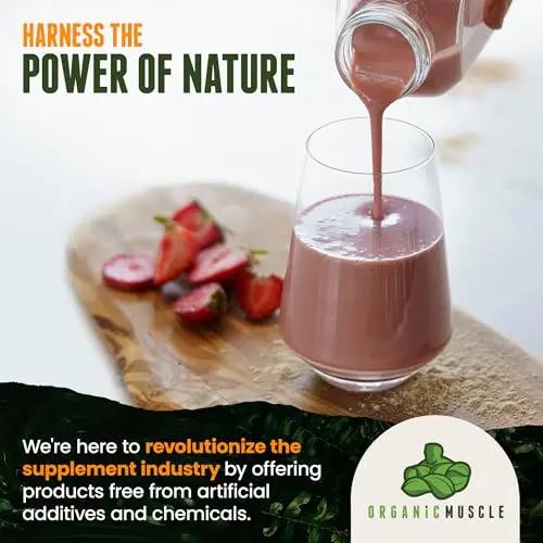 Organic Muscle Superfood Pre Workout Powder for Men & Women, Passionfruit Guava (15 Packets) - USDA Organic Supplement - Vegan, Natural, Plant-Based & Low Caffeine Energy Powder