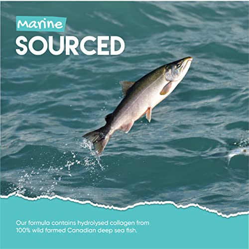 Marine Collagen Gummies by Jolly Jelly® - Wild-Caught Marine Collagen Tapioca Gummies - Type 1 Hydrolysed Collagen - Strawberry Flavour - 60 Gummies. JOLLY JELLY