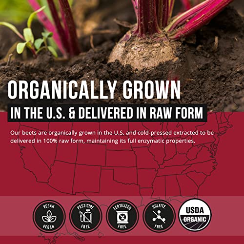 BioBeet Max Strength Beet Root Juice Powder – 20:1 Concentrate, Each Serving Derived Triquetra Health