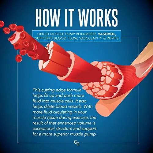 Siren Labs Vaso-VOL Liquid Muscle Pump Volumizer with Agmatine Sulfate - Pre Workout for Men to take Your Workouts to The Next Level with Vascularity and Performance (Mixed Berry)