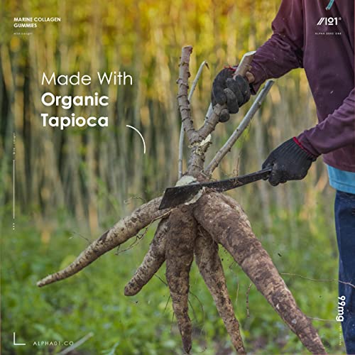 Marine Collagen Gummies - Wild-Caught Marine - Tapioca Based - High Potency Hydrolysed Marine Collagen Gummies ALPHA01