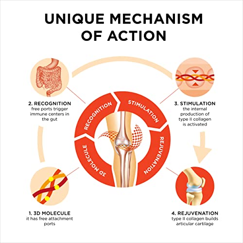 Collanol - Innovation in The Care of Healthy Joints - Liquid Formula in a Double Capsule 3D Collagen Collanol