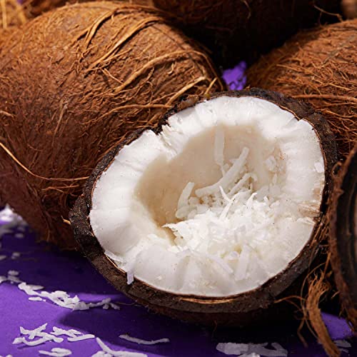 GNC AMP Sustained Protein Blend | Targeted Muscle Building and Exercise Formula GNC