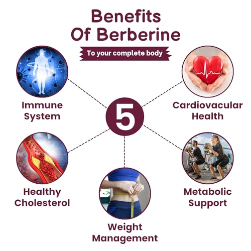 SHRISHA HERBAL Indian Berberine 1500mg - Berberine HCl 500mg Per Capsule - Support SHRISHA HERBAL