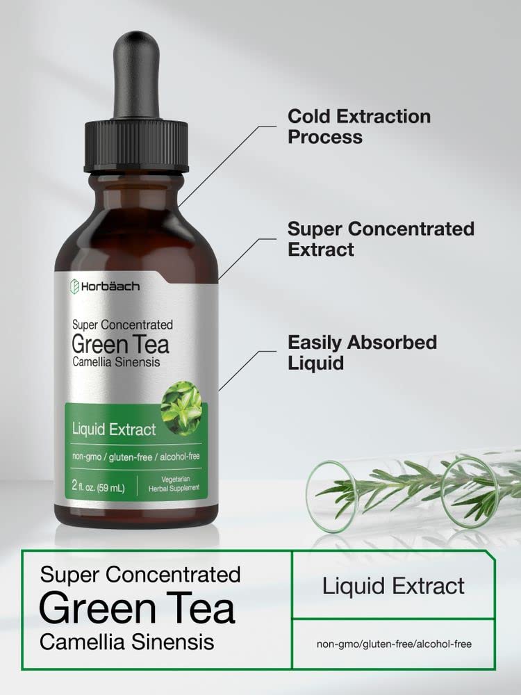 Green Tea Extract Liquid | 2 Fl Oz | Alcohol Free, Vegetarian Tincture | Super Concentrated Horbäach