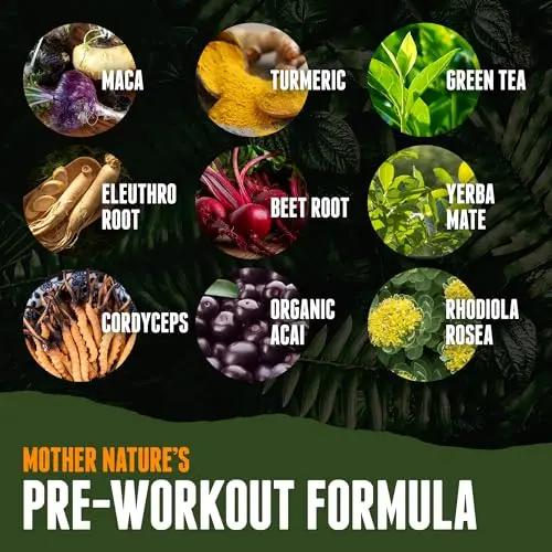 Organic Muscle Superfood Pre Workout Powder for Men & Women, Passionfruit Guava (15 Packets) - USDA Organic Supplement - Vegan, Natural, Plant-Based & Low Caffeine Energy Powder