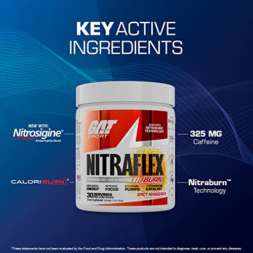 GAT SPORT NITRAFLEX Burn, Pre Workout Thermogenic Powder, Apple Melon, 30 Servings GAT SPORT