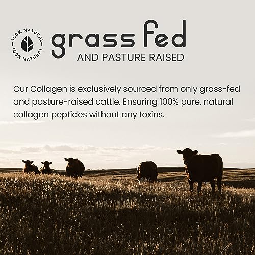 Bovine Collagen Peptides Powder 500g - 50 Servings - 100% Pure, Hydrolysed, Type 1 & 3-19 Amino Acids VitaBright