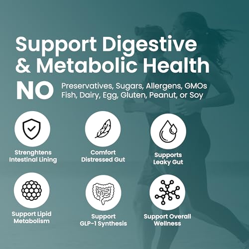 Akkermansia Muciniphila Probiotics for Digestive Health - 5 Billion TFU Akkermansia Probiotic UpNourish