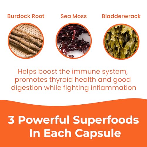 INFINITE AGE: 1250mg Sea Moss Advanced Superfood - High-Potency, Vegan