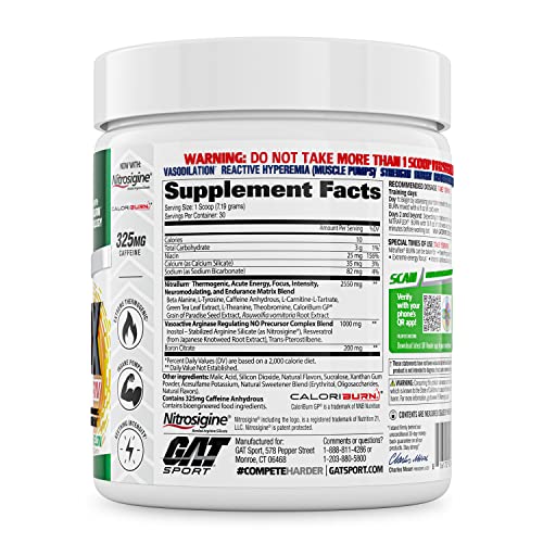 GAT SPORT NITRAFLEX Burn, Pre Workout Thermogenic Powder, Apple Melon, 30 Servings GAT SPORT