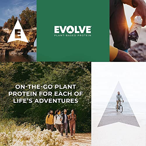 Evolve Plant Based Protein Shake, Café Mocha, 20g Vegan Protein, Dairy Free, No Artificial Evolve