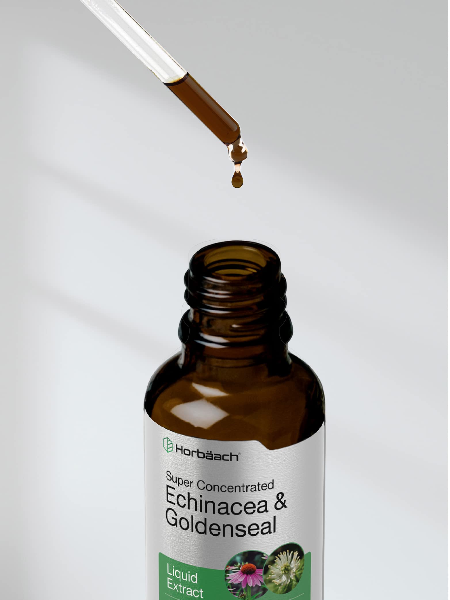 Echinacea Goldenseal Liquid Extract | 2 fl oz | Alcohol Free Tincture Drops | Vegetarian Horbäach