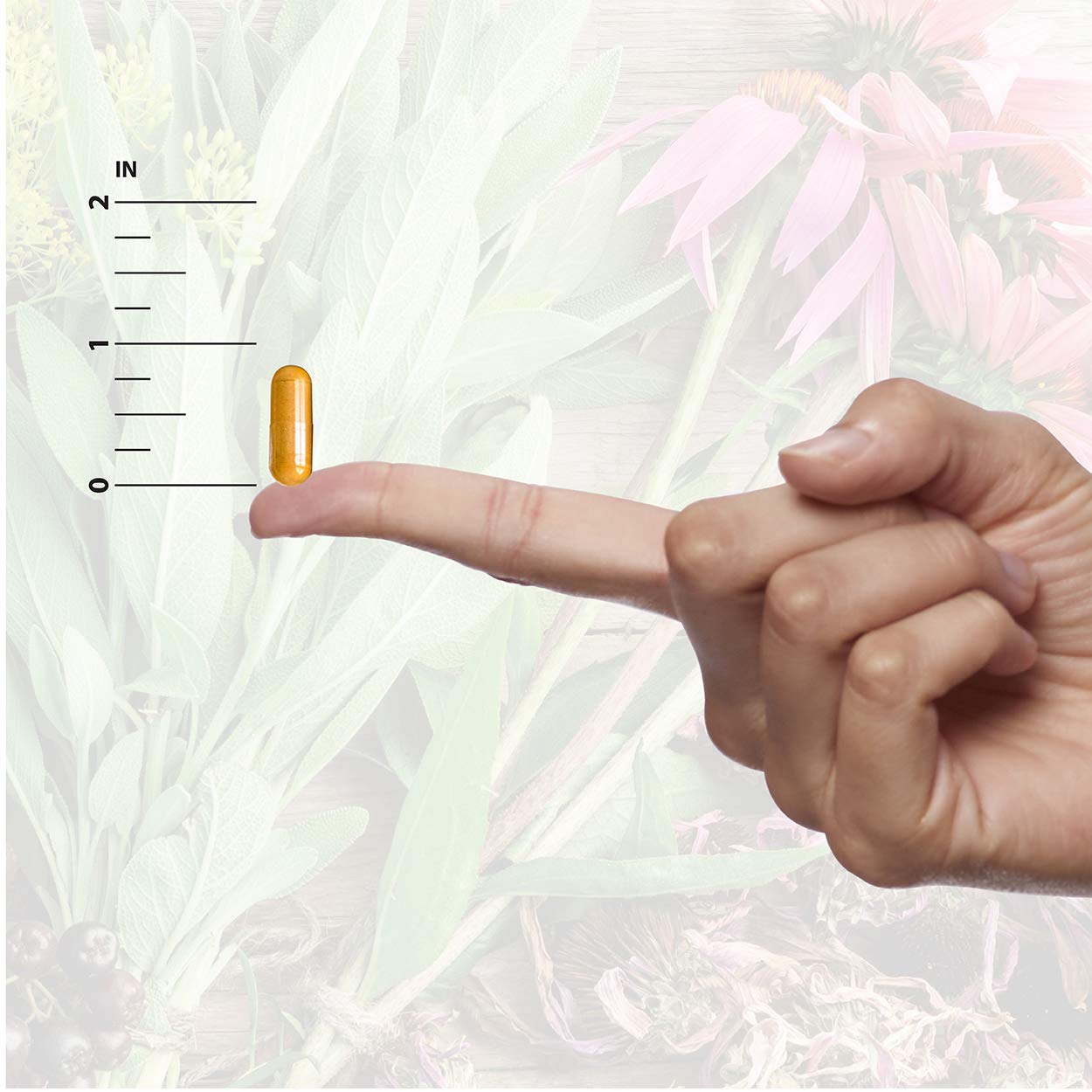 Nature's Answer Pueraria Mirifica Capsules 60 Count | Female Reductive Support | Smooth Skin & Hair Nature's Answer