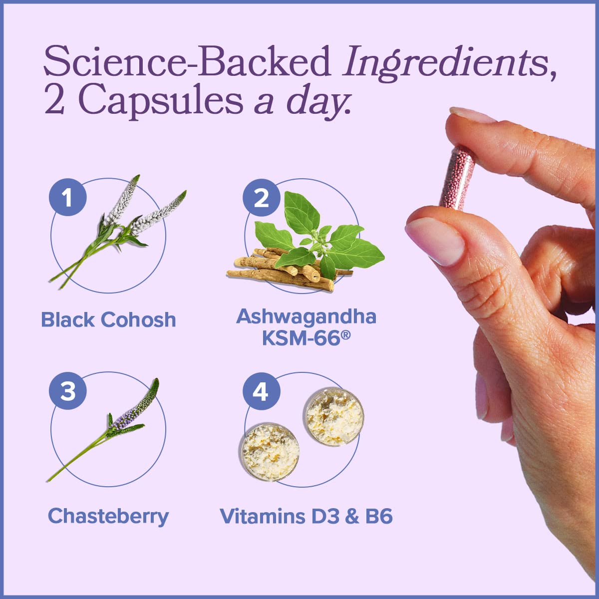 MENO Vitamins for Menopause, 30 Servings (Pack of 3) - Hormone-Free Menopause O Positiv