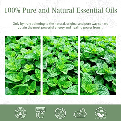 PHATOIL Spearmint Essential Oil 100ML, Pure Premium Grade Spearmint Essential Oils PHATOIL