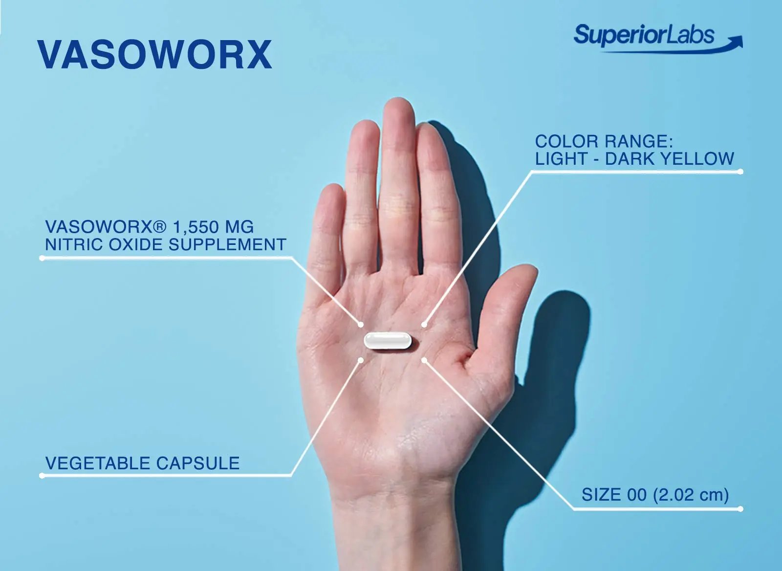 Superior Labs – VASOWORx  – Nitric Oxide Supplement – Extra Strength - 1,600 mg Superior Labs