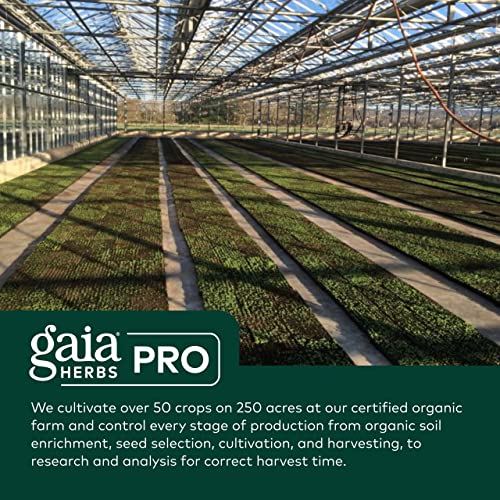 Gaia Herbs Pro Female Hormone Support - Menopause Supplement for Women - with Vitex