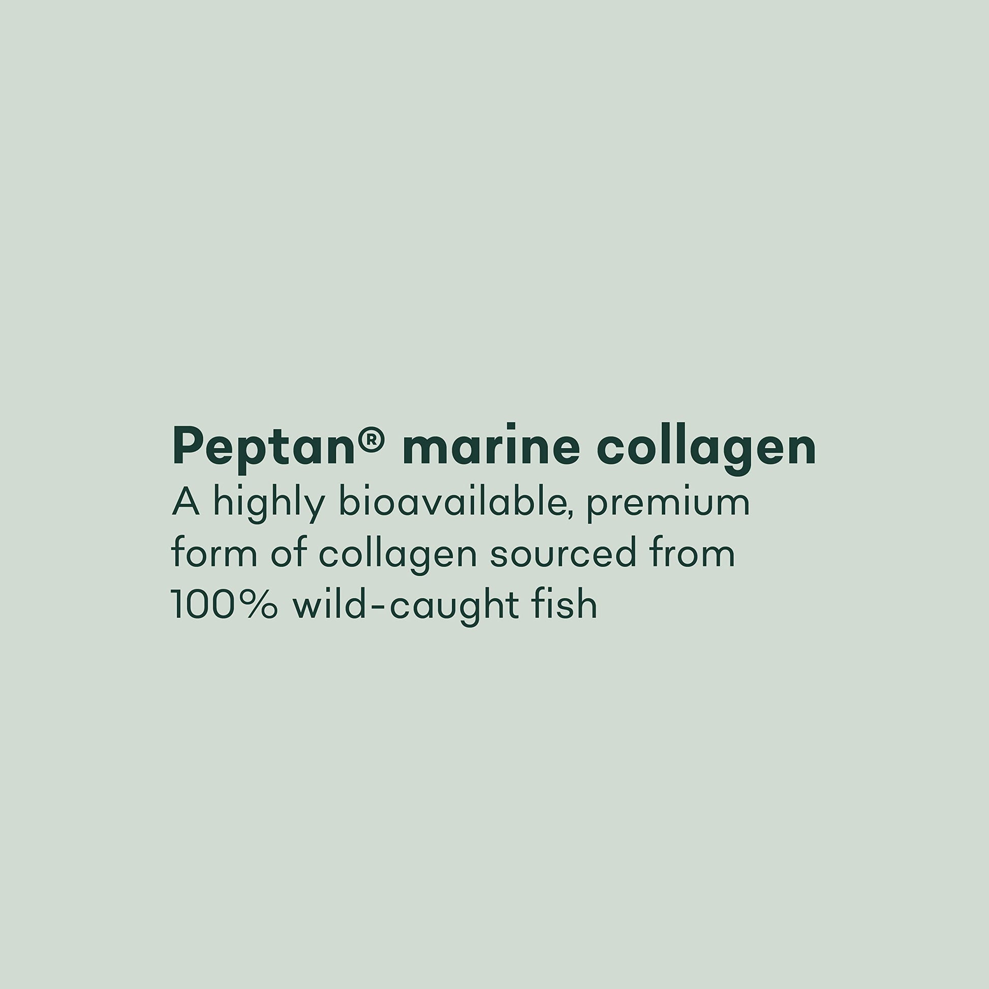 Pure Collagen Tablets - High Strength 1000mg Peptan Marine Collagen Supplements - Collagen Powder Project Nutrition