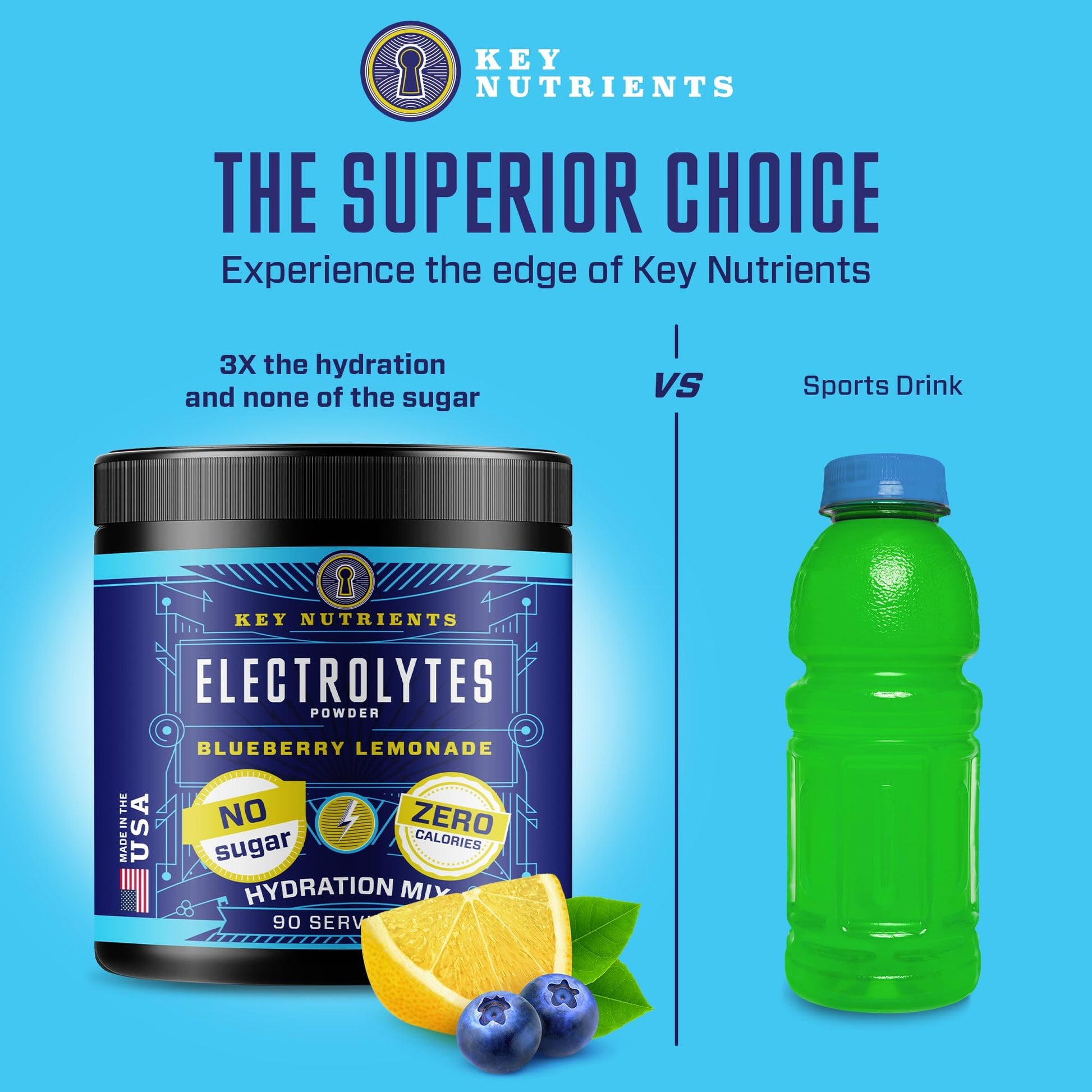 KEY NUTRIENTS Multivitamin Electrolytes Powder No Sugar - Fresh Blueberry Lemonade KEY NUTRIENTS