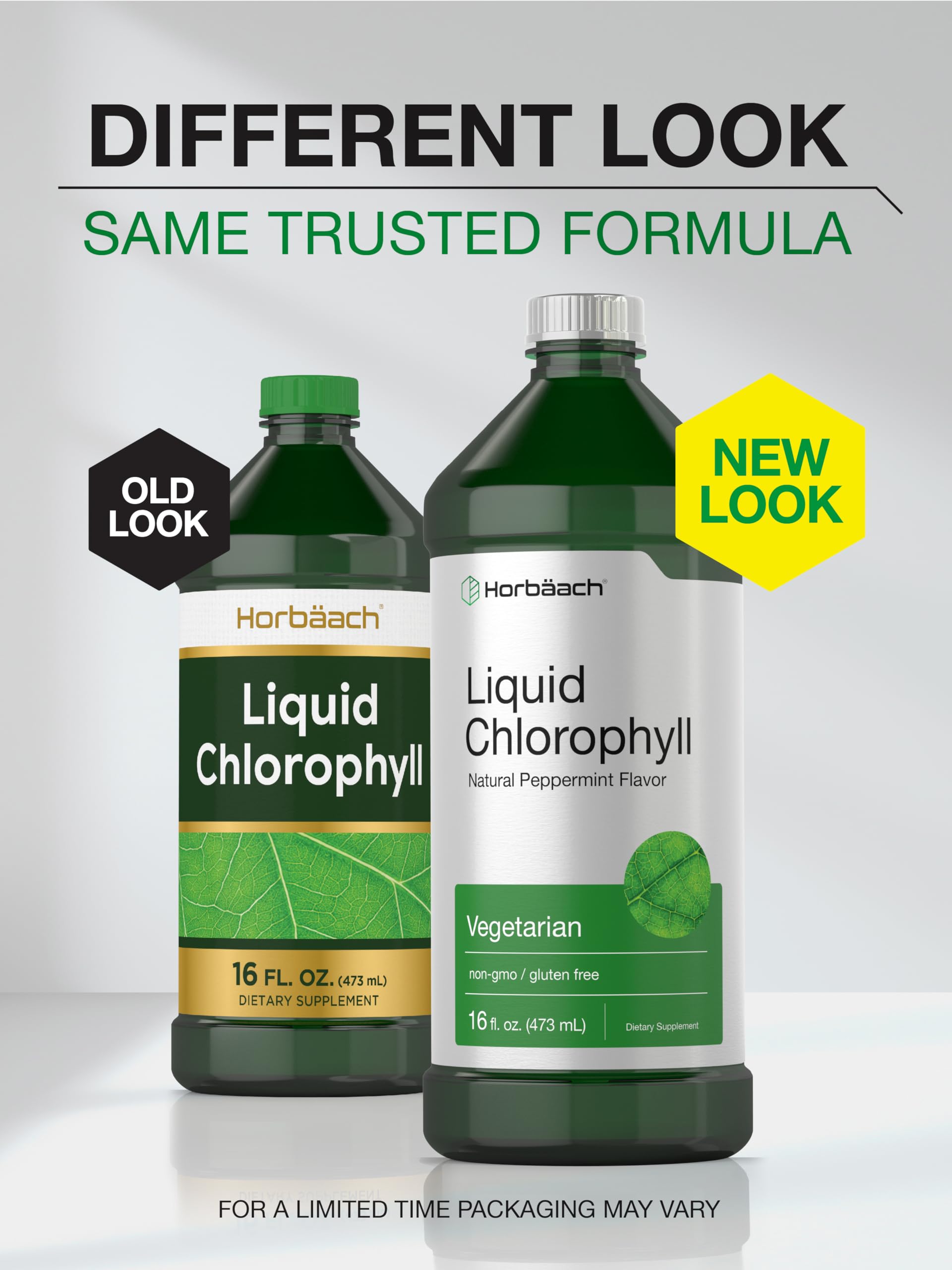 Chlorophyll Liquid Drops 100mg | 32 oz (2 x 16 oz Bottles) | Natural Peppermint Flavor Horbäach