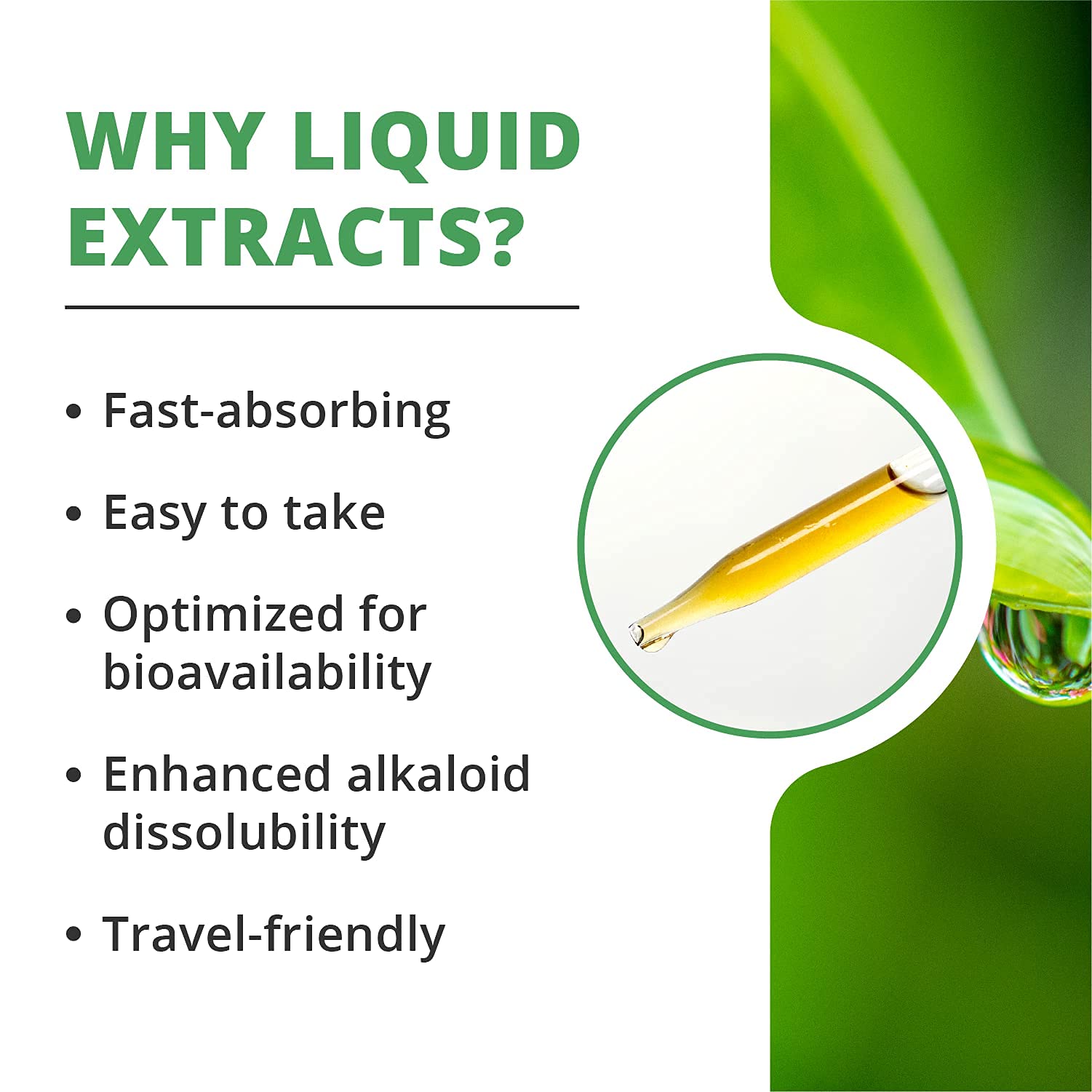 NutraMedix Burbur Detox Support Supplement - Desmodium Molliculum Extract Drops NutraMedix