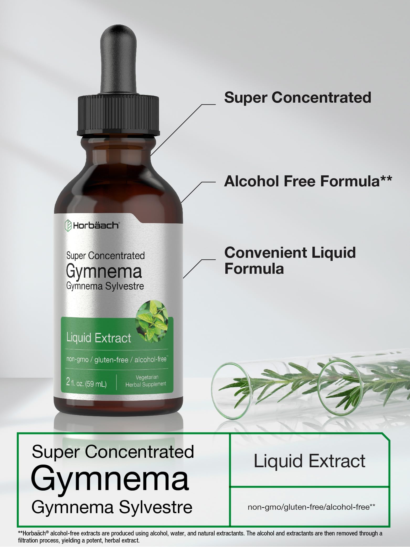 Gymnema Sylvestre Liquid | 2 fl oz | Alcohol Free Supplement | Super Concentrated Horbäach