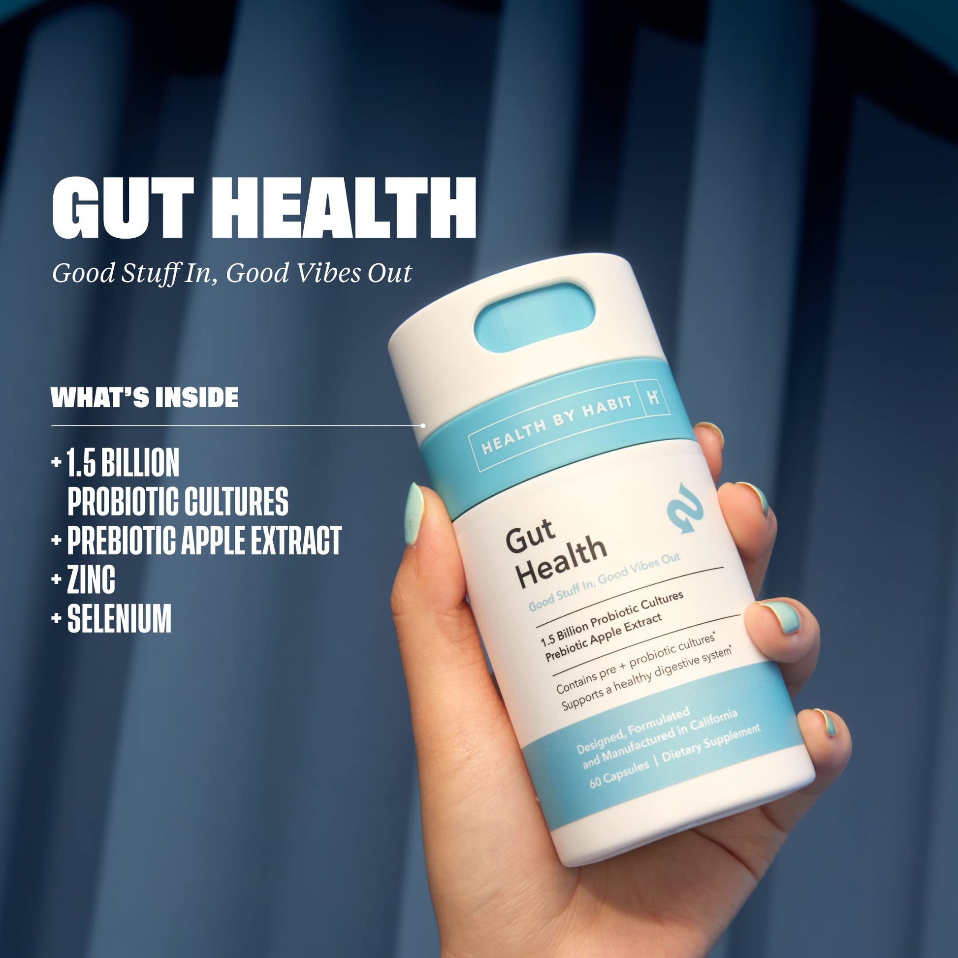 Health By Habit Gut Health Supplement (60 Capsules) - Contains 1.5 Billion probiotic Health By Habit