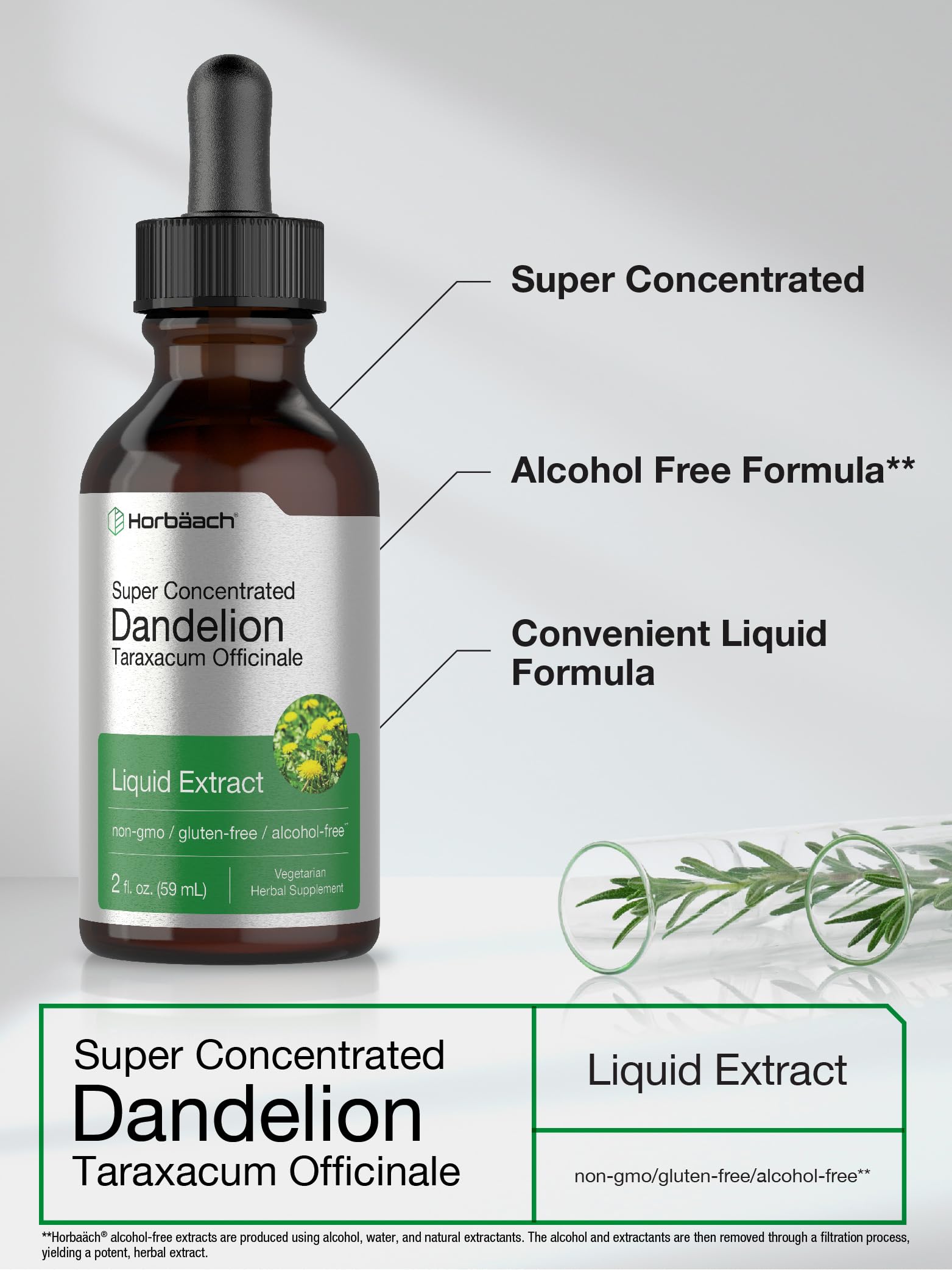 Dandelion Root Extract | 2 fl oz | Super Concentrated | Alcohol Free Liquid Tincture Horbäach