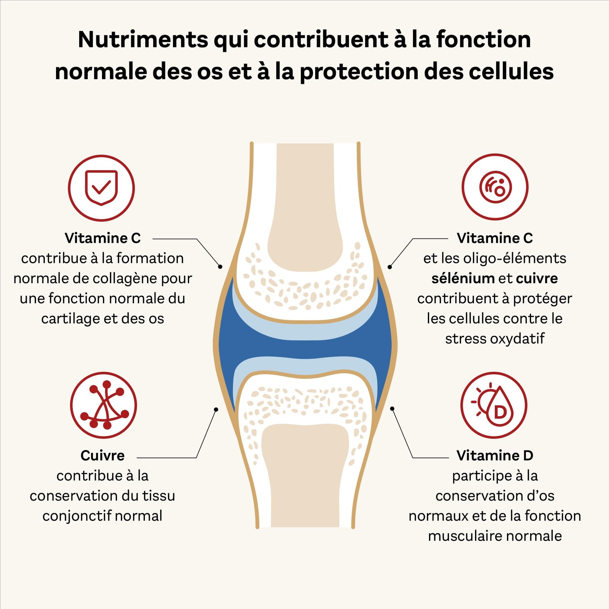 Doppelherz - Kollagen 11000 Plus - Collagen hydrolysate, chondroitin Sulphate, Vitamins C and D and Trace Elements Doppelherz