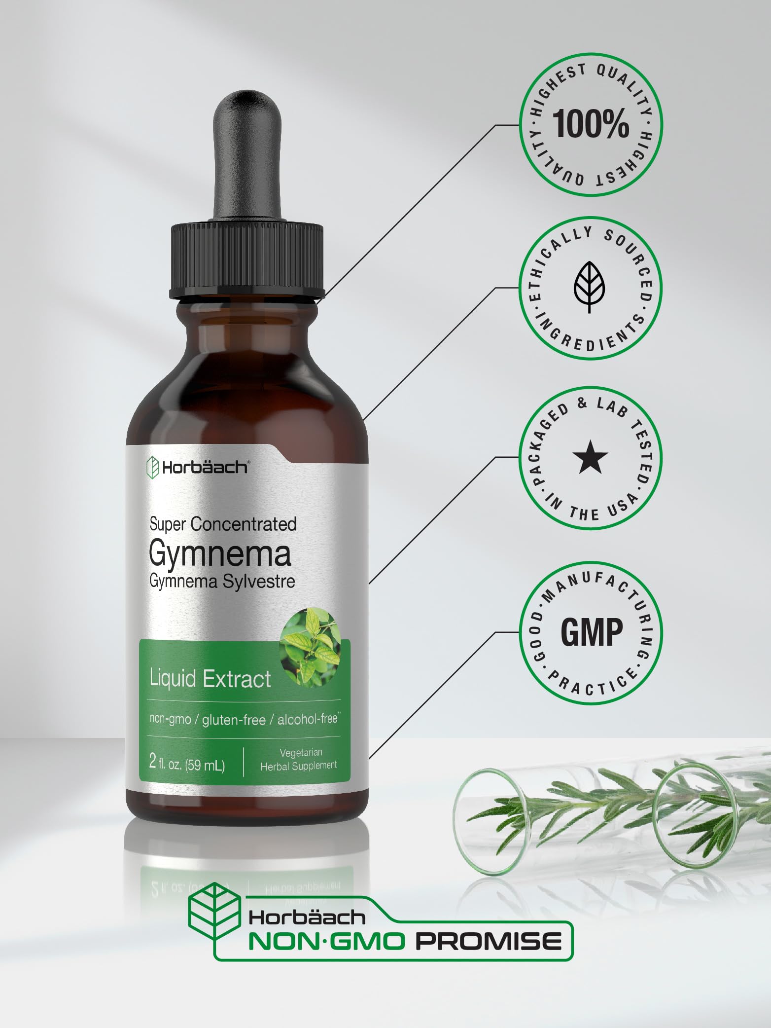Gymnema Sylvestre Liquid | 2 fl oz | Alcohol Free Supplement | Super Concentrated Horbäach