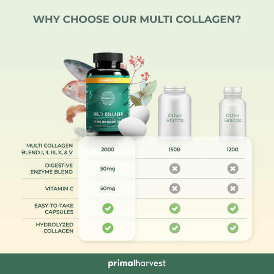Primal Harvest 2 Pack, Multi Collagen Pills for Women and Men (Type I, II, III, V, X)