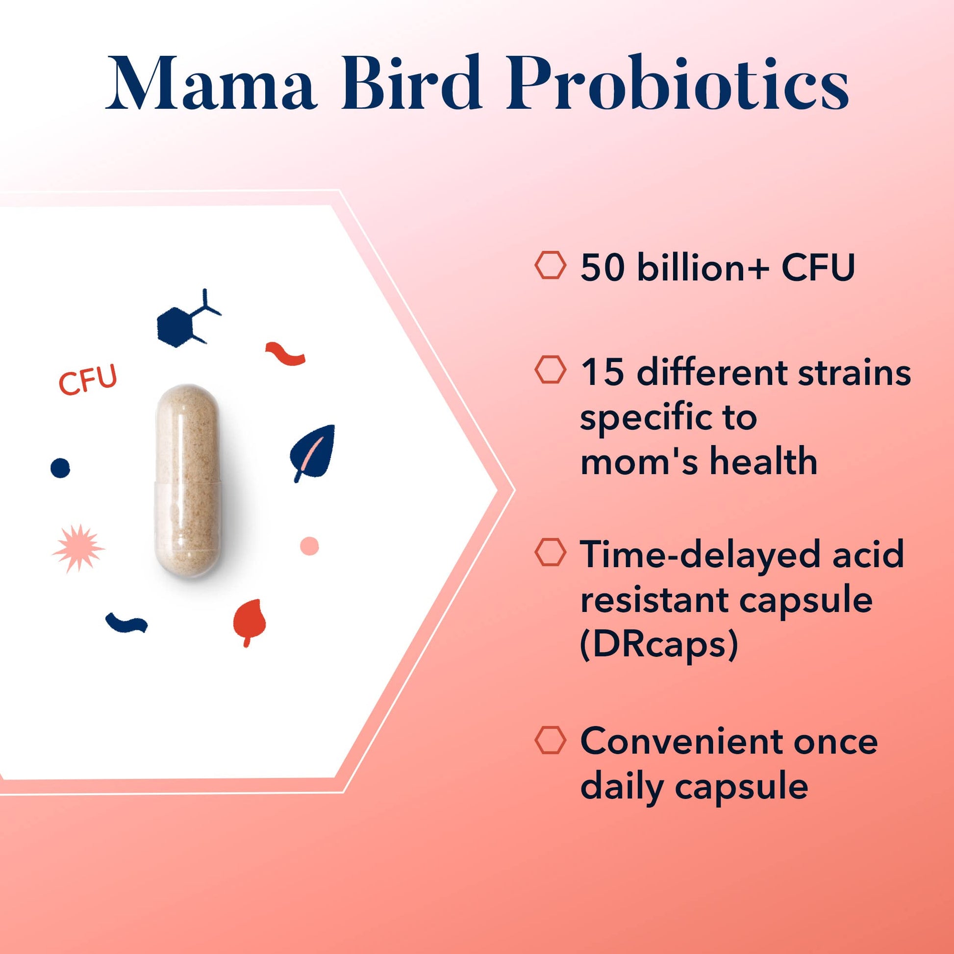 Best Nest Wellness Mama Bird Probiotics for Prenatal, Postnatal, Fertility, Women Digestive Best Nest Wellness