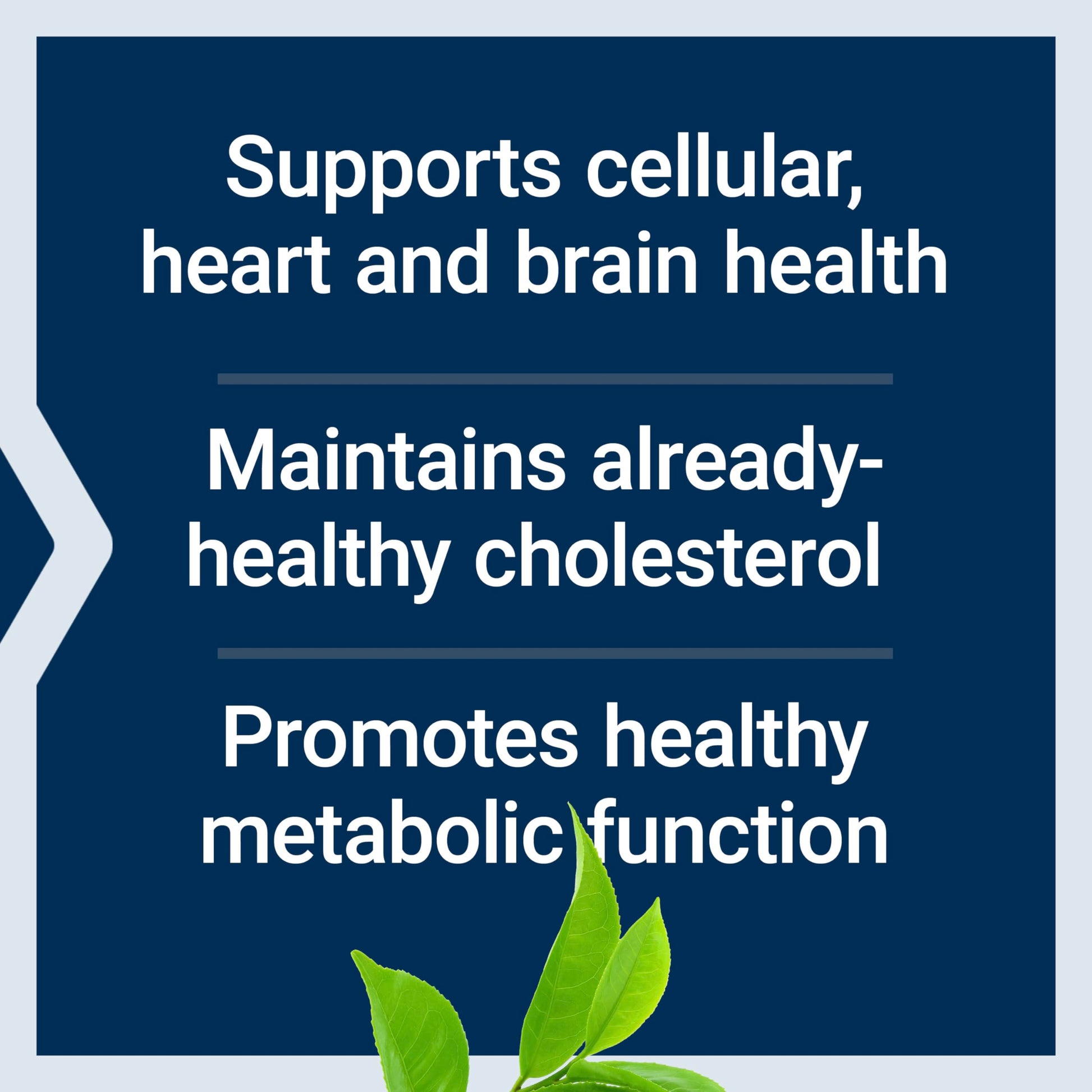 Life Extension Decaffeinated Mega Green Tea Extract – Polyphenol-Rich, Cell Health Life Extension