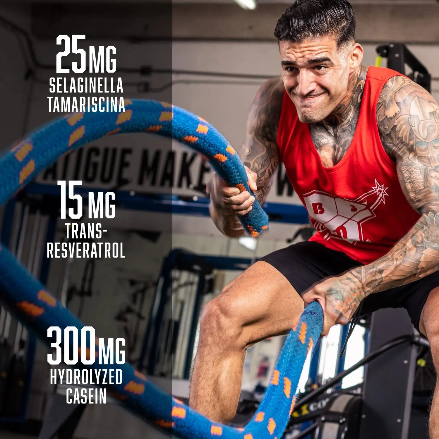 BSN N.O.-XPLODE Vaso Pre Workout Powder with 8g of L-Citulline and 3.2g Beta-Alanine BSN