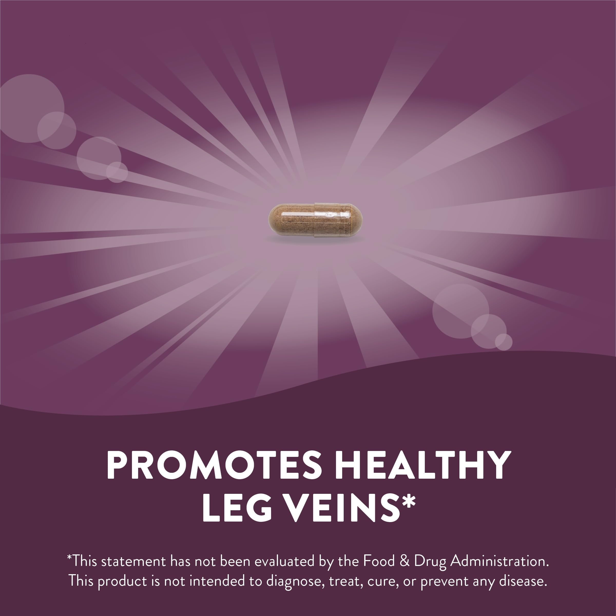 Nature's Way Standardized Horse Chestnut, Premium Extract for Healthy Veins and Blood Nature's Way