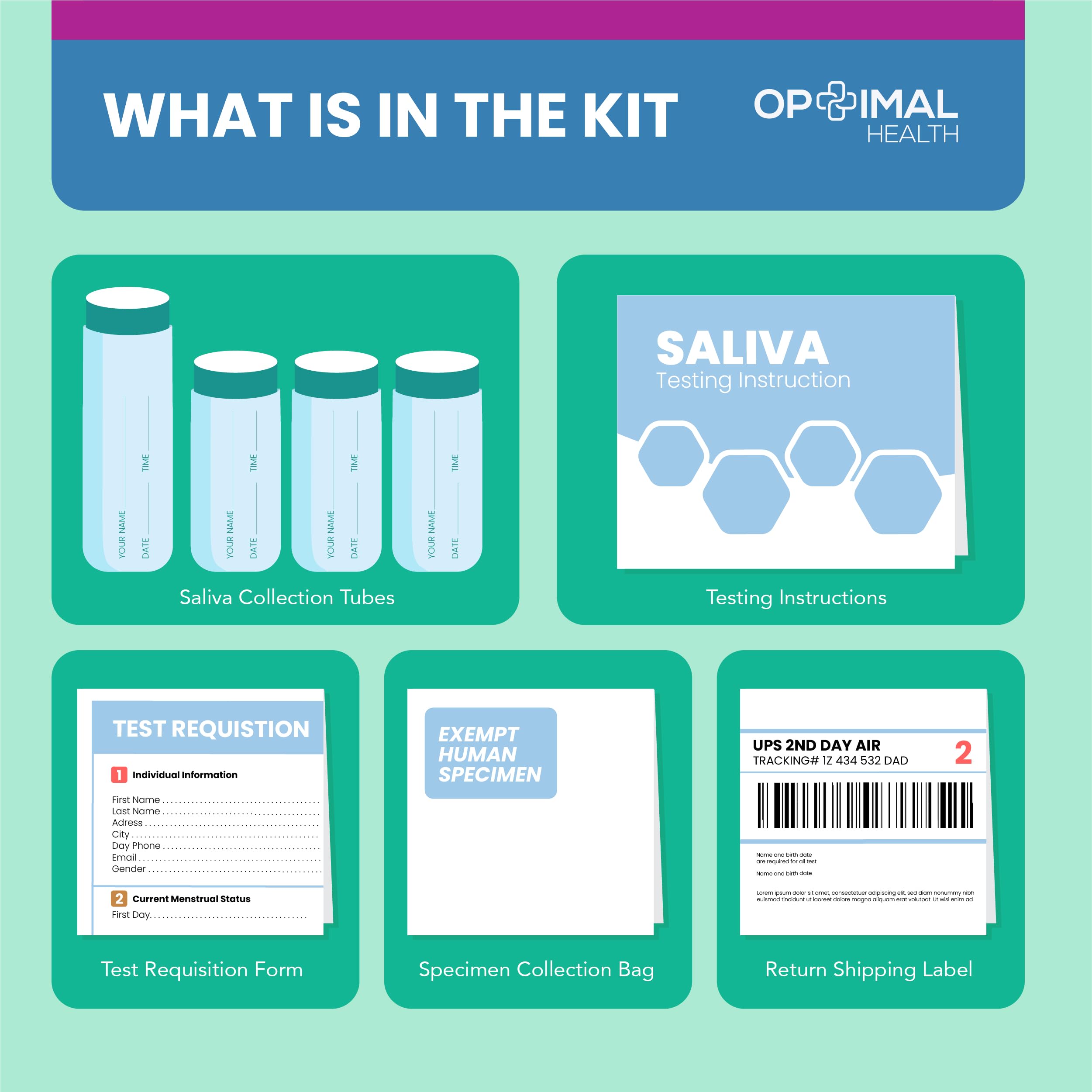 Estradiol (E2) & Progesterone (PG) | Saliva Hormone Test Kit for Women | Progesterone Deficiency OPTIMALHEALTH