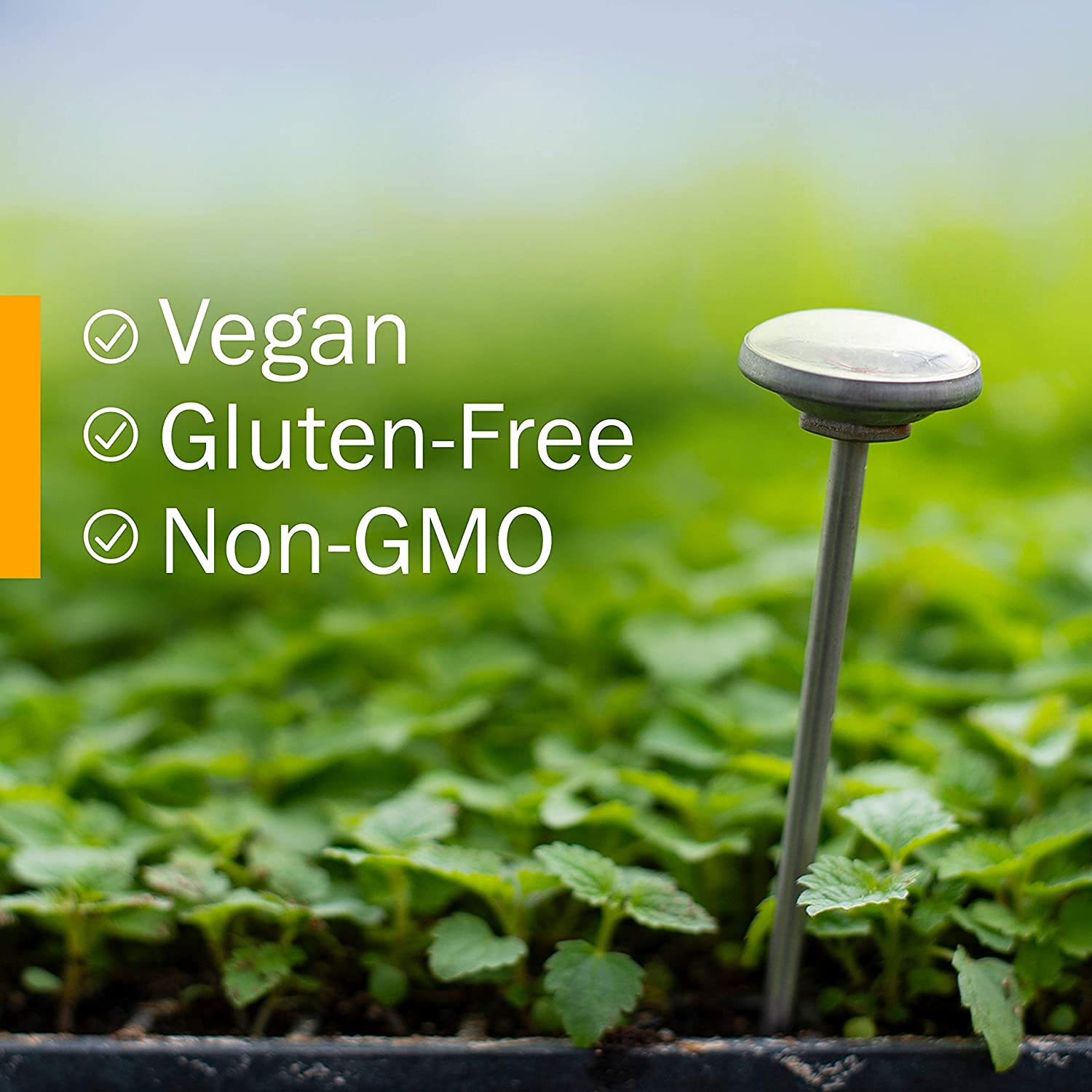 Herb Pharm Certified Organic Rhodiola Root Extract for Energy, Endurance and Stamina Herb Pharm